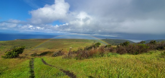 Channel Islands National Park