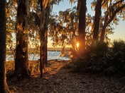 Cumberland Island National Seashore