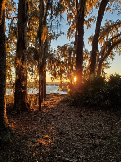 Cumberland Island National Seashore