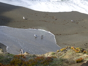 Golden Gate National Recreation Area