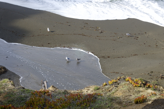 Golden Gate National Recreation Area