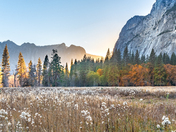 Yosemite National Park