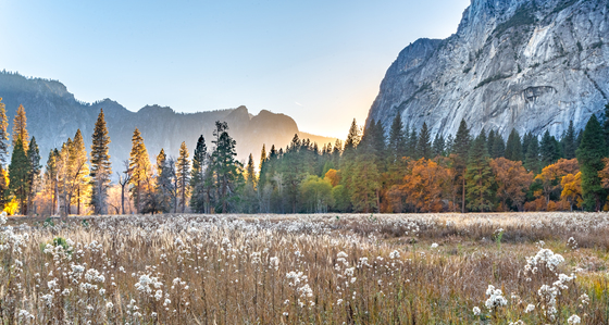 Yosemite National Park