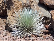 Haleakala National Park