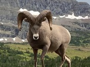 Glacier National Park 