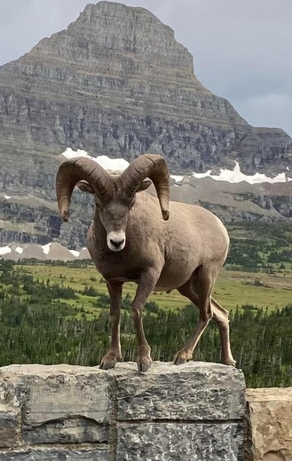 Glacier National Park 