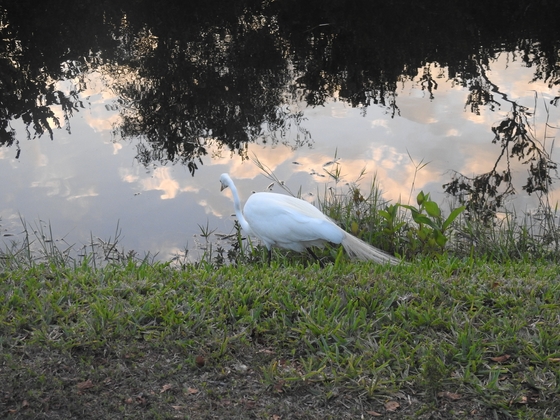 Everglades National Park