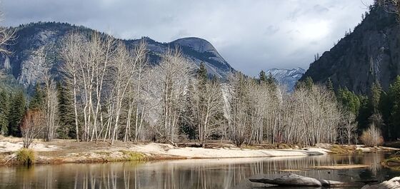 Yosemite National Park