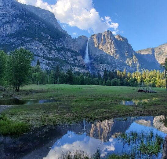 Yosemite National Park
