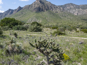 Guadalupe Mountains National Park
