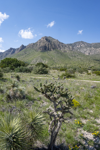 Guadalupe Mountains National Park