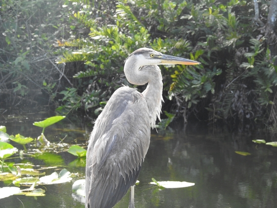 Everglades National Park