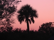 Everglades National Park