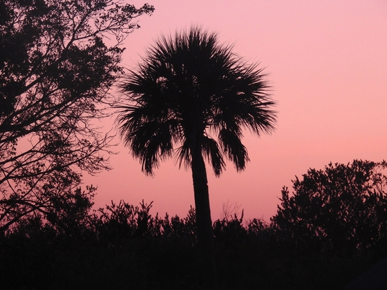 Everglades National Park