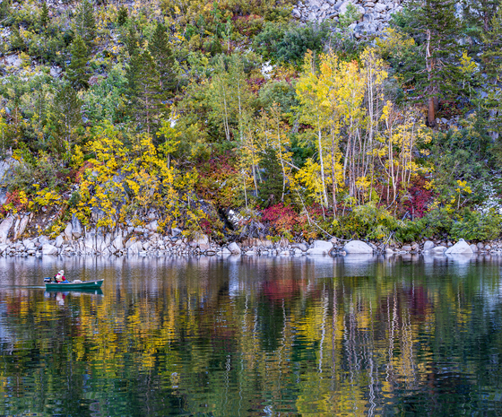 Inyo National Forest