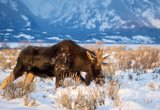 Grand Teton National Park