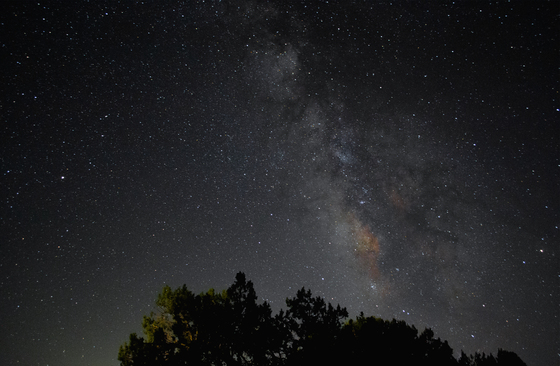 Prescott National Forest
