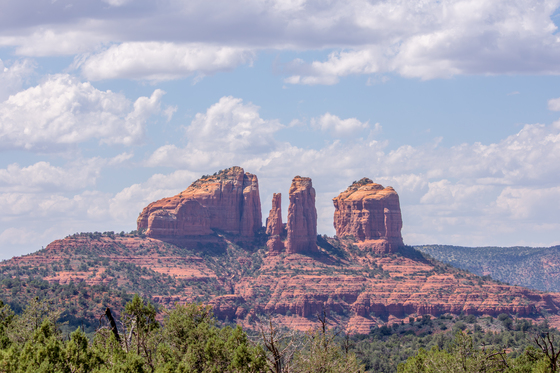 Coconino National Forest