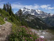 Mount Baker Snoqualmie National Forest