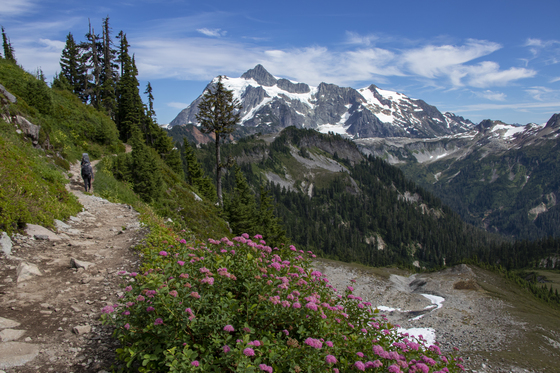 Mount Baker Snoqualmie National Forest