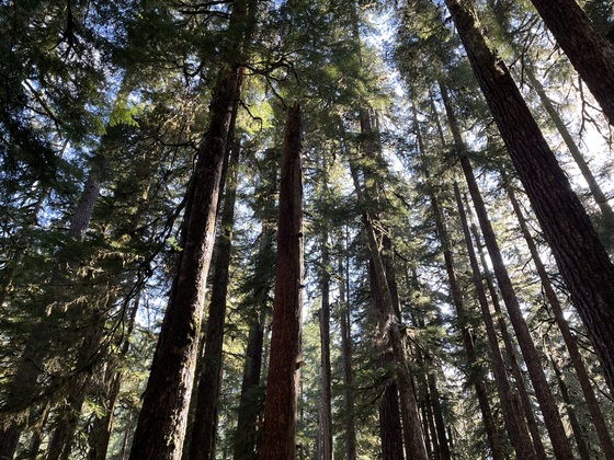 Olympic National Park