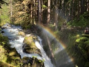 Olympic National Park