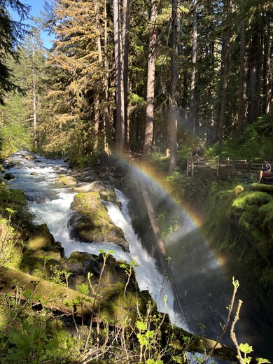 Olympic National Park