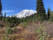 My Rainier National Park 
