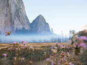 Yosemite National Park