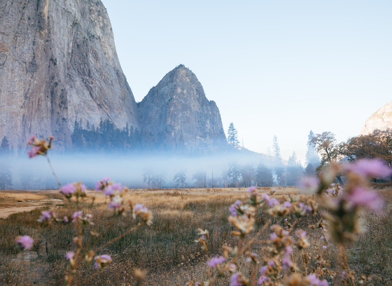 Yosemite National Park