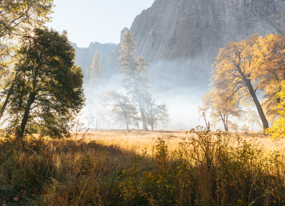 Yosemite National Park