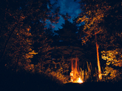 Daniel Boone National Forest