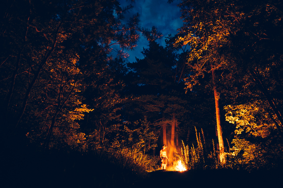 Daniel Boone National Forest