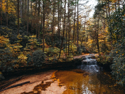 Daniel Boone National Forest