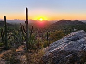 Saguaro National Park