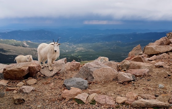Pikes Peak National Forest