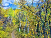 White River National Forest