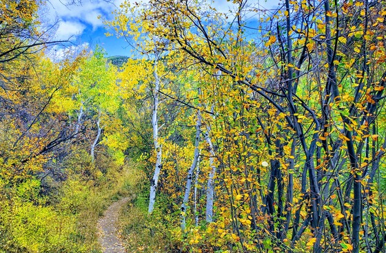 White River National Forest