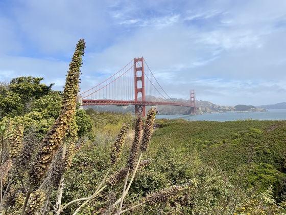 Golden Gate National Recreation Area 