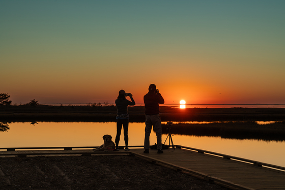 Assateague Island National Seashore