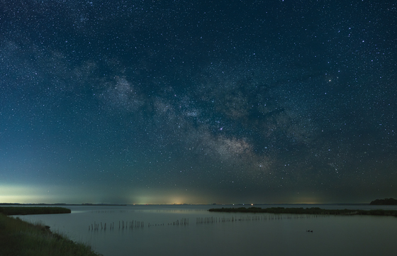 Blackwater National Wildlife Refuge