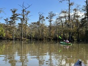 Big Thicket National Preserve