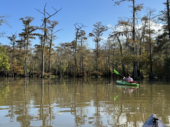 Big Thicket National Preserve