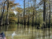 Big Thicket National Preserve