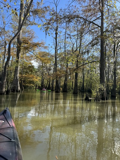 Big Thicket National Preserve
