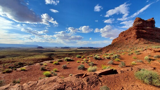 Bears Ears National Monument - Valley of the Gods