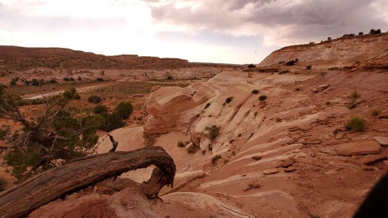 Paria Canyon-Vermilion Cliffs Wilderness
