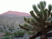 Santa Rosa and San Jacinto National Monument