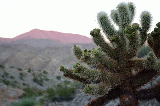 Santa Rosa and San Jacinto National Monument