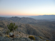 Joshua Tree National Park